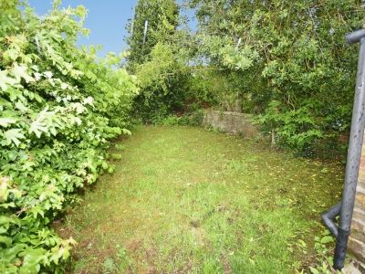 Picture 15
